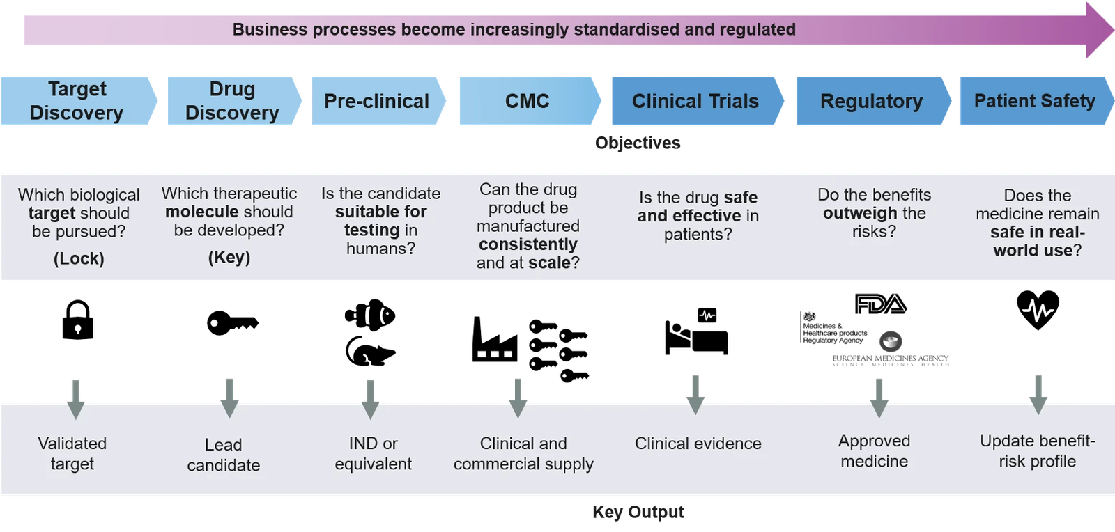 The seven-stage pharmaceutical R&D value chain — Target Discovery, Drug Discovery, Pre-clinical, CMC, Clinical Trials, Regulatory and Patient Safety — shown as increasingly standardised and regulated. Each stage lists its guiding objective as a question and its key output, from a validated target through to an updated benefit-risk profile.