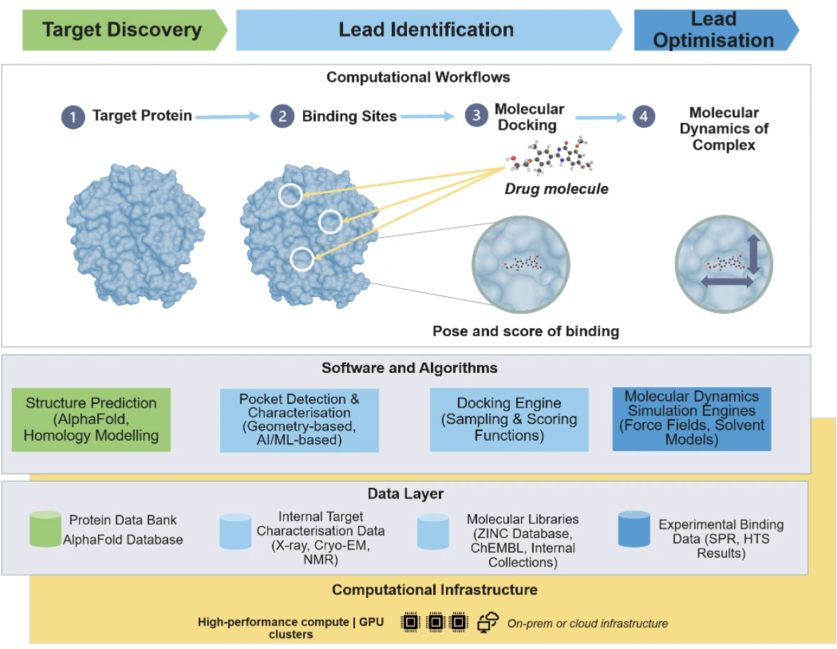 A structure-based drug design workflow above its enabling architecture. Across Target Discovery, Lead Identification and Lead Optimisation, a computational workflow runs from target protein to binding sites, molecular docking (the pose and score of a drug molecule) and molecular dynamics of the complex. Below sit the supporting software and algorithms (structure prediction, pocket detection, docking engine and molecular-dynamics engines), a data layer (Protein Data Bank, AlphaFold, molecular libraries and experimental binding data) and high-performance GPU and cloud compute infrastructure.