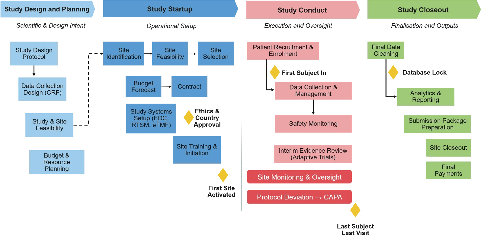 The clinical trial lifecycle in four phases — Study Design and Planning, Study Startup, Study Conduct, and Study Closeout — showing the operational steps within each phase and the milestones between them (First Site Activated, First Subject In, Last Subject Last Visit, Database Lock).